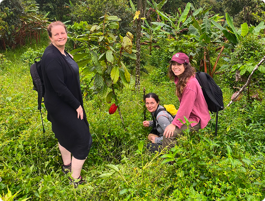 Cacao field visit